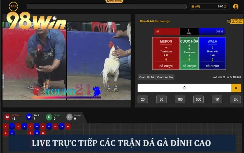 Live trực tiếp các trận đấu chọi gà cực kỳ chân thực