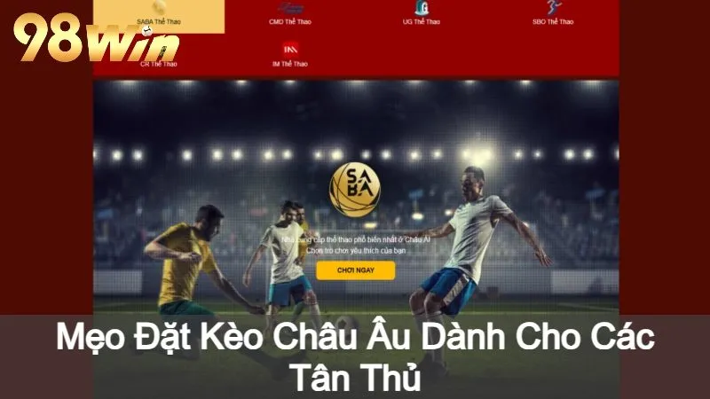 Mẹo Đặt Kèo Châu Âu Dành Cho Các Tân Thủ