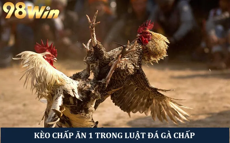 Kèo chấp ăn 1 tỷ lệ thắng kèo dưới không cao