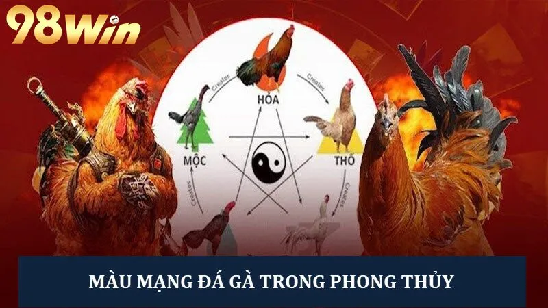 màu mạng đá gà là gì