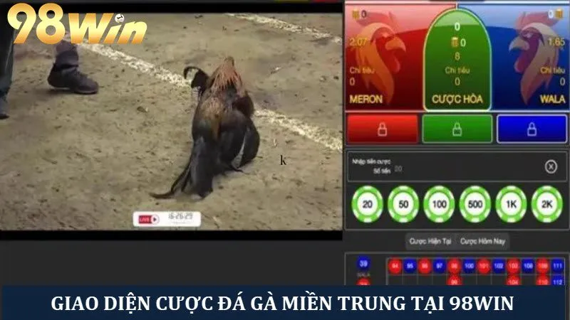 Giao diện sảnh chơi các trận đá gà miền Trung